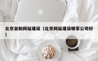 桐乡北京自制网站建设（北京网站建设哪家公司好）