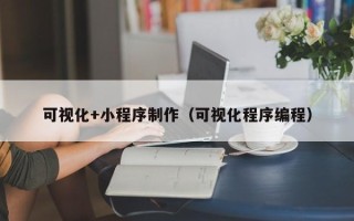 桐乡可视化+小程序制作（可视化程序编程）